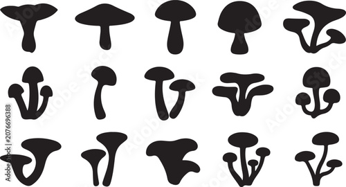 Autumn nature mushroom 100