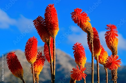 red and blue sky