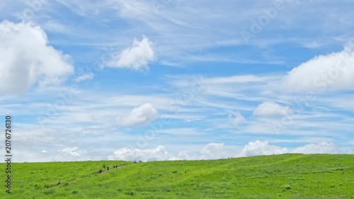 霧ヶ峰高原に広がる草原と青空の風景
