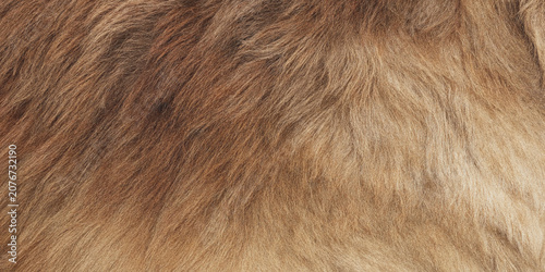 Foto Brown animal fur texture close up photograph with natural variations in color an