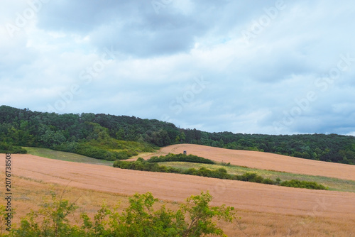 Czech Republic: panoramic countryside view of agricultural farmland with yellow cereal crop fields and forested hillsides under cloudy summer sky.