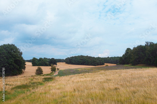 Germany: scenic rural countryside landscape with open grass meadows, golden agricultural harvest fields and green forest trees under cloudy summer sky.