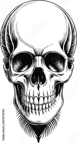 Human Skull Vector Illustration on Black Background with Skeleton Anatomy Halloween Horror Tattoo Style Isolated White Skull Symbol Design
