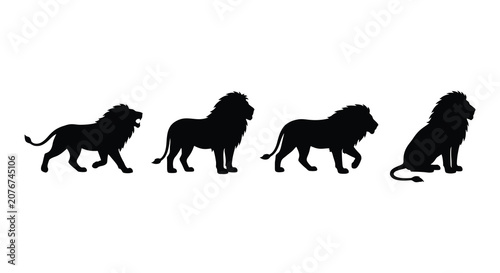 Obraz na plátně Four Black Silhouette Lions In Various Poses Against A White Background A Dramat