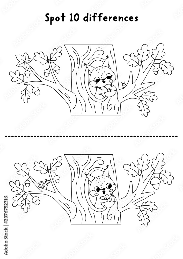 Fototapeta premium Forest black and white find differences game with squirrel in oak tree hollow with acorn. Woodland line activity with animal. Puzzle for kids with cute scene. Printable worksheet, coloring page