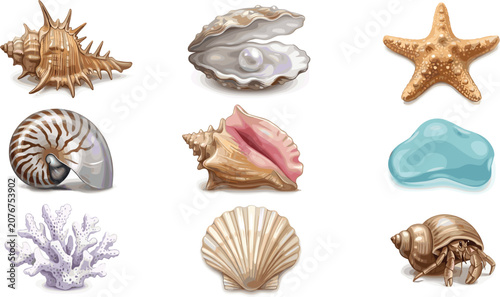 Tableau sur toile Realistic Marine Life Vector Set with White Pearl in Oyster Shell Nautilus Spiky