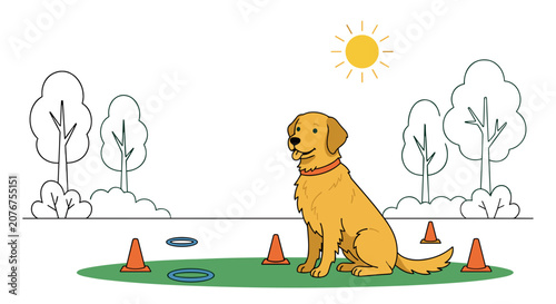 Young dog learning basic commands in clean outdoor training area with obstacle markers
