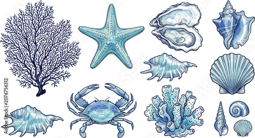 Photos Watercolor Hand Drawn Blue Marine Vector Set with Coral Reef Branches Starfish C