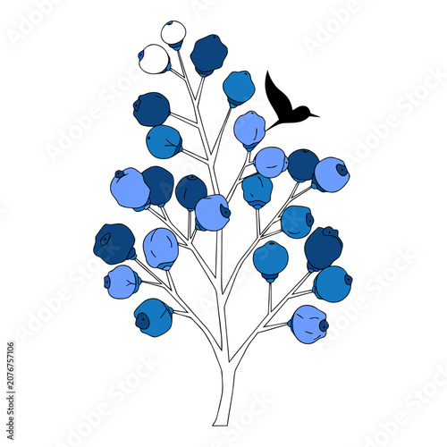 Branch of a blueberry plant with berries of various shades of blue and white, with a small black bird flying above it.