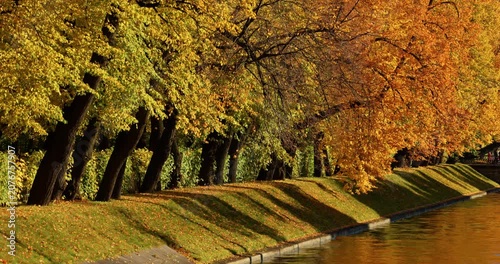 Lebyazhya kanavka embankment to the engineering palace, Trees with yellow leaves of the Summer garden in sunny autumn evening, Russia, Saint Petersburg