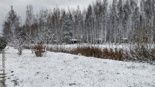 A detailed view of frost-covered branches in a snowy winter woodland.