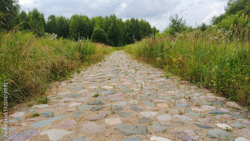 Close-up of an ancient stone paved road winding through summer wildflowers and greenery.
