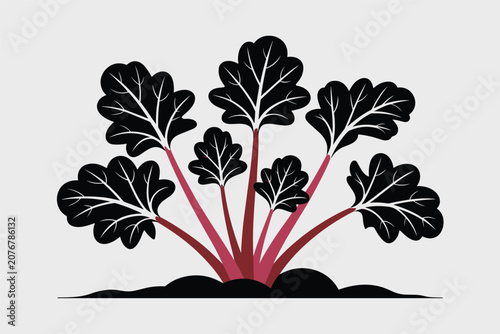 Flat illustration of a bold striking silhouette of a rhubarb plant with large leaves, minimalist graphic art style, nature concept