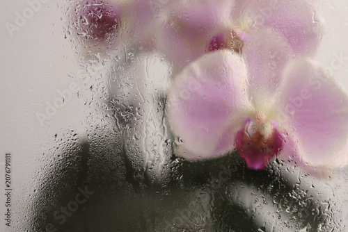 Smoke selected Soft focus cream beige pink phalaenopsis Orchid Flower through glass with wet water drops. Abstract natural blur background.