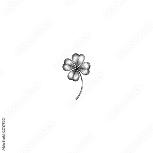 Foto Four leaf clover botanical illustration for good luck with lucky charm botanical