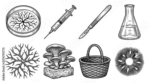 Mycology and Mushroom Cultivation Laboratory Equipment Vector Illustration Set. Engraving Style Icons of Mycelium, Spore Print, Petri Dish, Syringe, Scalpel, Flask, and Basket.