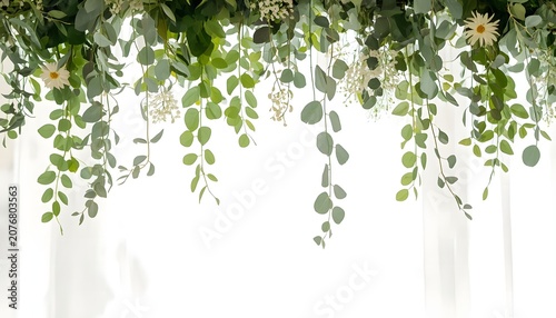 Green Vine with Fresh Leaves Isolated on White Background