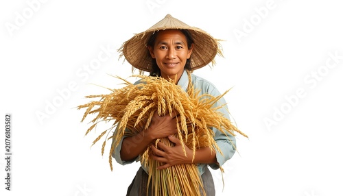 Farmer Holding Bundle of Wheat Isolated on White Background