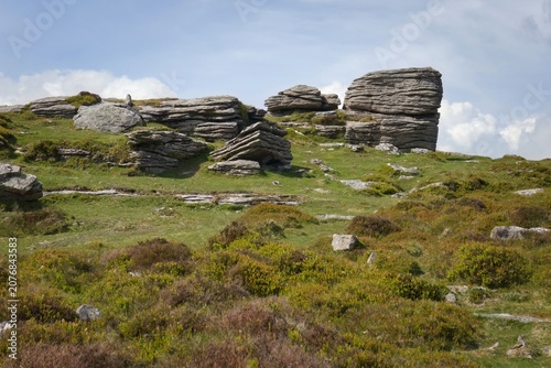 rocky hill with green grass - Dartmoor - England