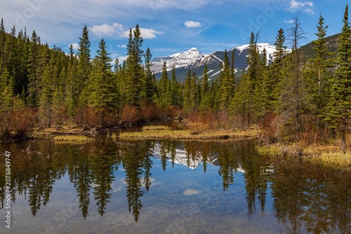 Still Water Reflections In Kananaskis Country