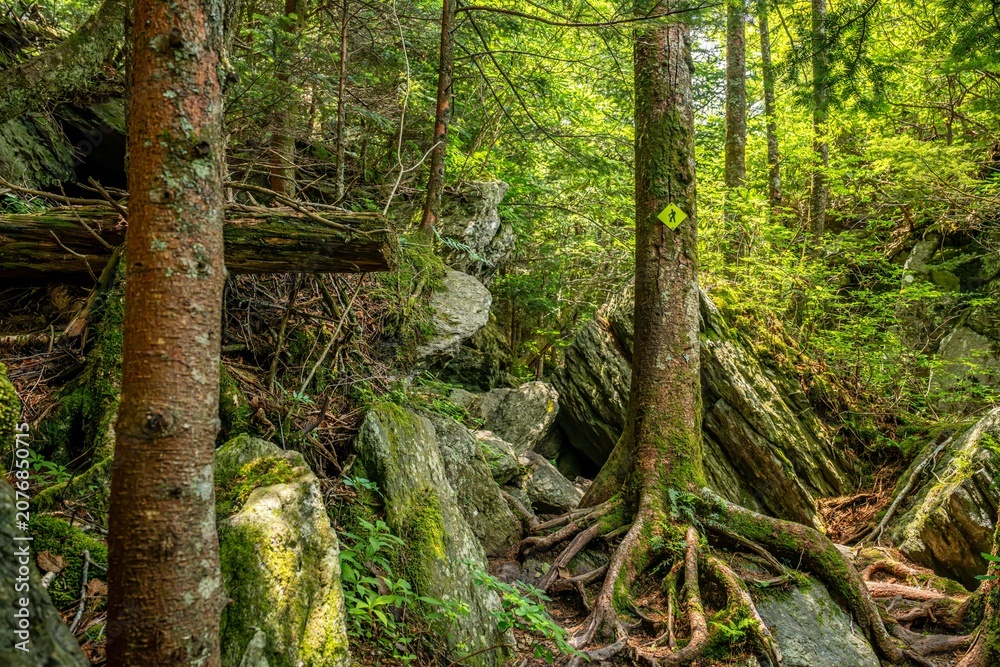 Fototapeta premium grandfather trail, NC
