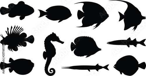 Photography Tropical reef fish and marine life black silhouette icons set featuring angelfis