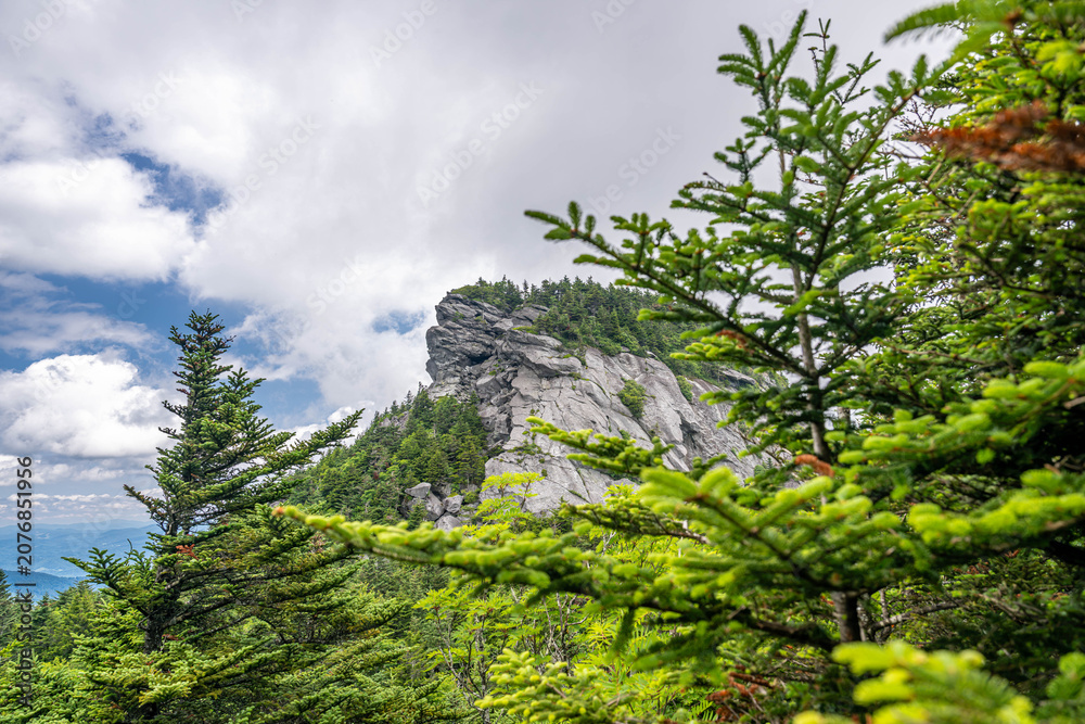 Fototapeta premium grandfather trail, NC