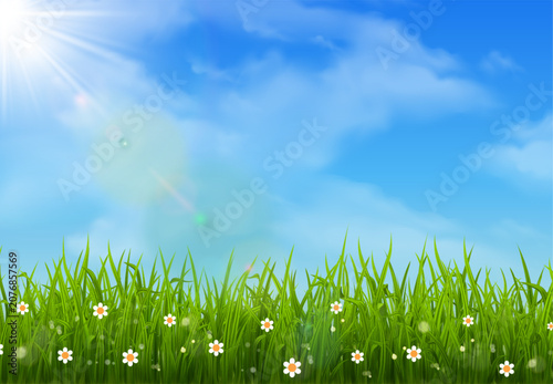 Realistic green grass and blue sunny sky landscape background.