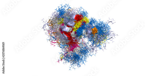 Foto Human Nanog stem cell master protein, molecular key to cell regeneration 3D NMR
