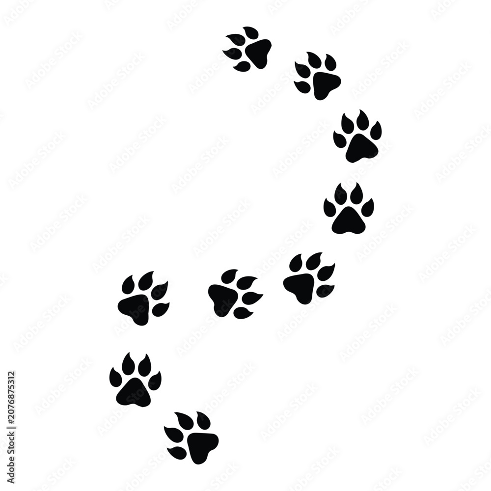Fototapeta premium Paw prints forming a curved path isolated on white background vector illustration silhouette