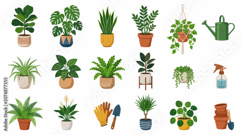 Flat Style Potted Houseplants Collection Vector Illustration