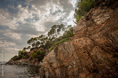 Billede på lærred Rocky cliff and pine covered coastline on the Mediterranean Sea at Presqu'ile de Giens in Hyeres, French Riviera, with layered stone formations, calm water, dramatic cloudy sky along a natural coast