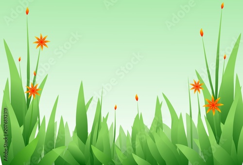 Green grass and orange star flowers cartoon illustration, bright spring garden background with copy space.