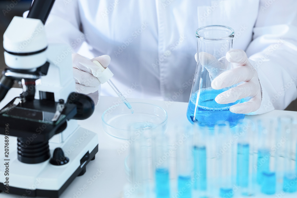 Fototapeta premium Scientist working with blue liquid in laboratory