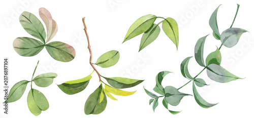 Watercolor Green Leaves Elements Collection