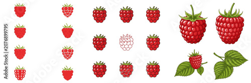 Set and Collection of fresh red strawberries isolated on white transparent png background.