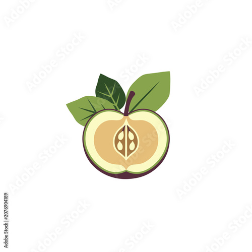 Flat vector illustration of apple cross section with leaves