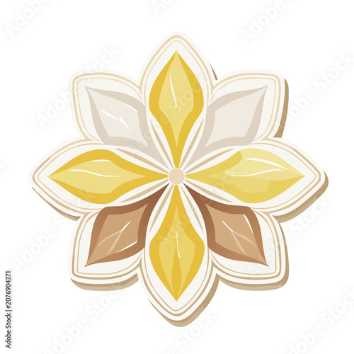 Star anise spice vector illustration