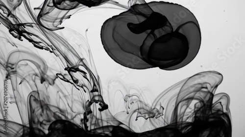Black ink diffuses in water creating abstract swirling patterns against a white background