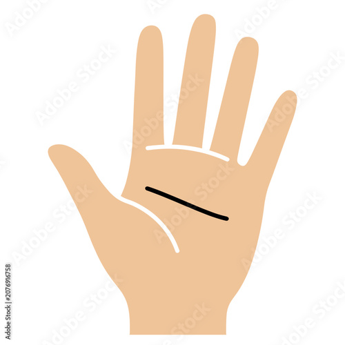 Flat vector illustration of a hand palm with palmistry line