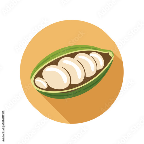 Avocado with seed flat vector illustration
