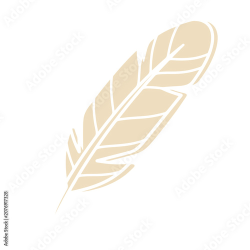 Beige feather flat vector illustration