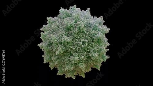 3D AAV1 Adeno-Associated Virus serotype 1 capsid 60-mer Replication-defective Non-pathogenic, Primarily Skeletal Muscle, Heart, and Central Nervous System CNS Delivery LPLD, Muscular Dystrophy Cryo-EM