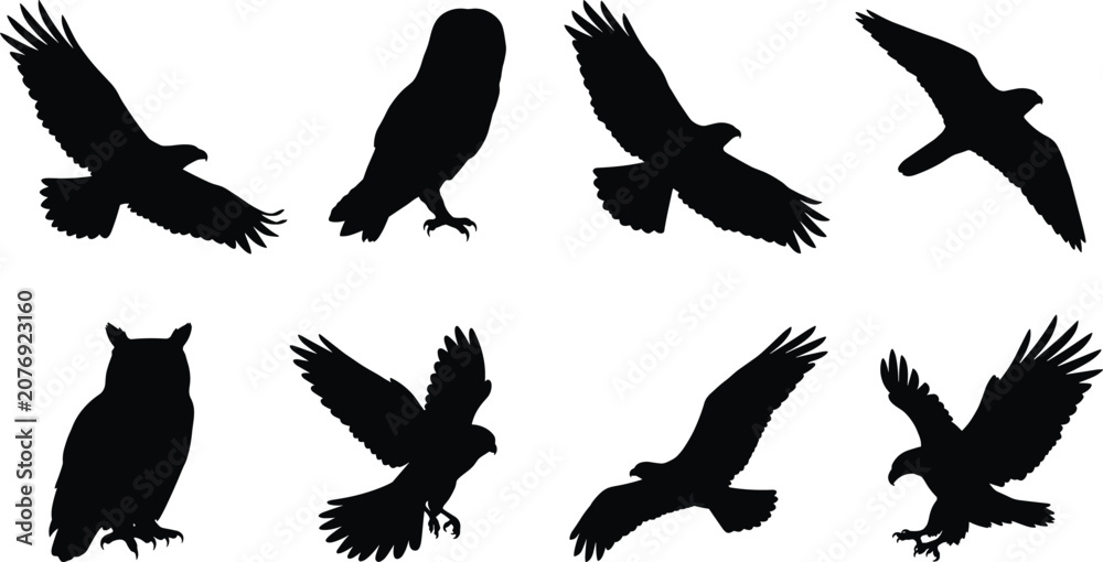 Fototapeta premium Bird of Prey Silhouette Collection with Eight Eagle Falcon Hawk and Owl Wildlife Vector Illustrations