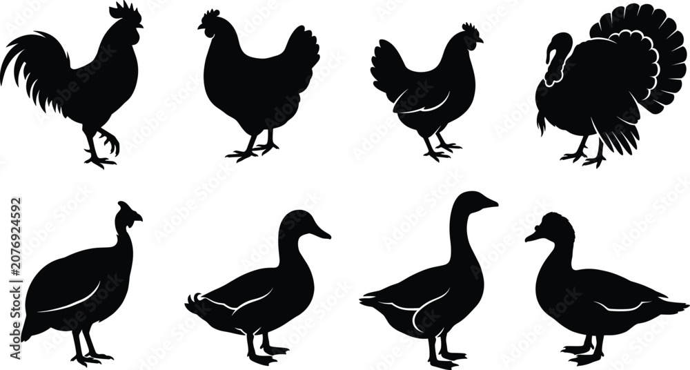 Fototapeta premium Farm Poultry Bird Silhouette Collection Featuring Rooster Hen Chicken Turkey Duck Goose and Guinea Fowl Vector Set