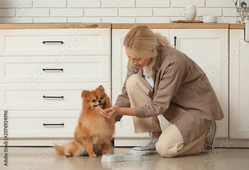 Mature woman feeding cute Pomeranian dog in kitchen