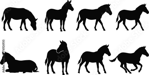 Obraz na plátně Horse Silhouette Collection with Eight Standing Walking Grazing Running and Rest