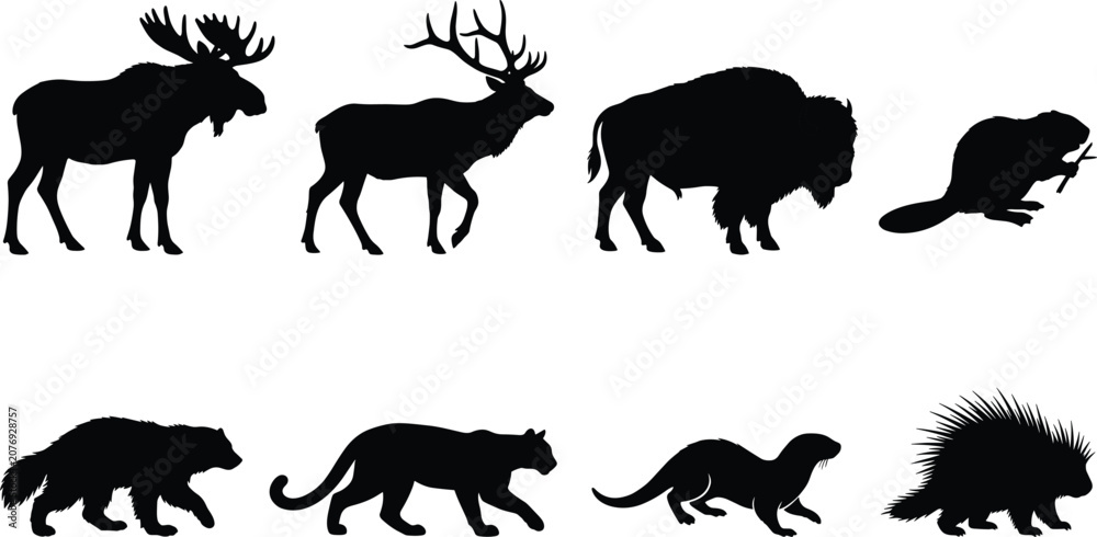 Fototapeta premium North American Wildlife Animal Silhouette Collection Featuring Moose Elk Bison Beaver Wolverine Cougar Otter and Porcupine