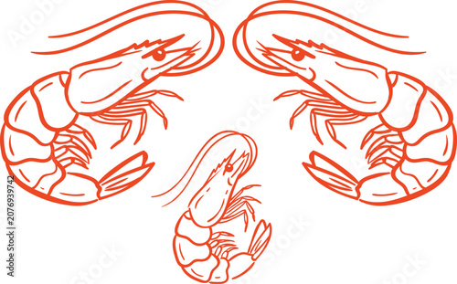Orange shrimp and prawns outline vector illustrations set for seafood restaurant and marine design