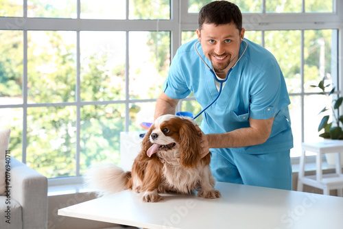 Male veterinarian with stethoscope listening to cute dog on table in clinic